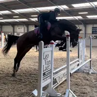 horsygril.wonder