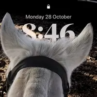 lucy_horses1