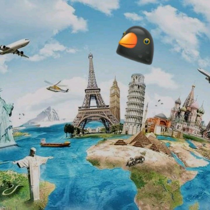 viaggiacolmerlo