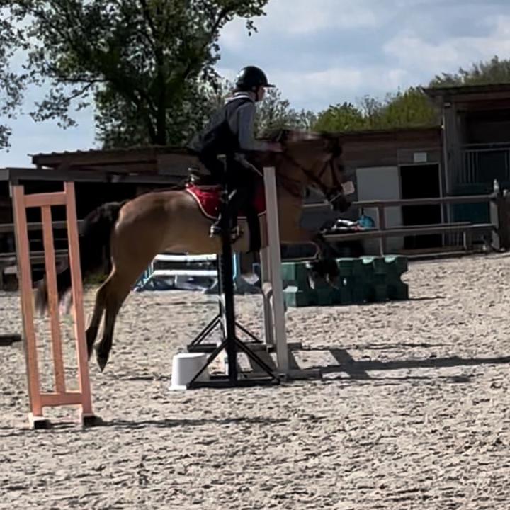 margaux_frfn