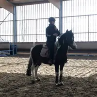 elo._jump