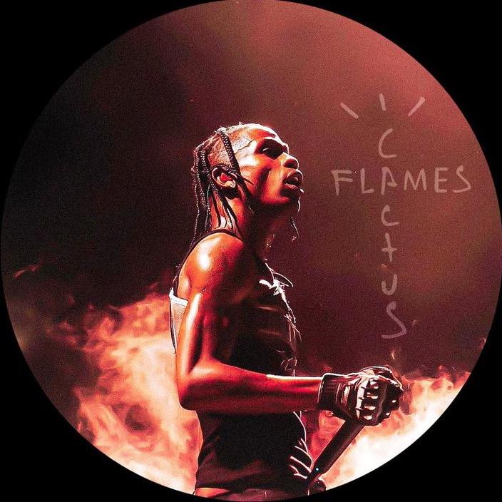 Cactus Flames - SKITZO