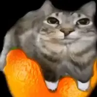 srtides