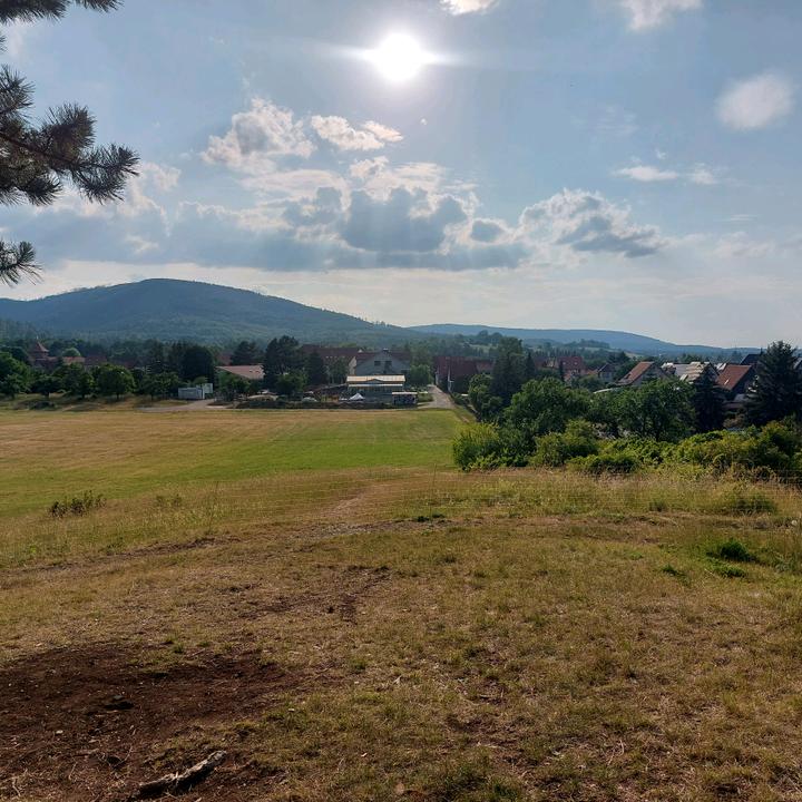 hillhopper1