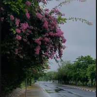 zama_jwand