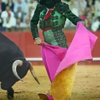 todotoro_