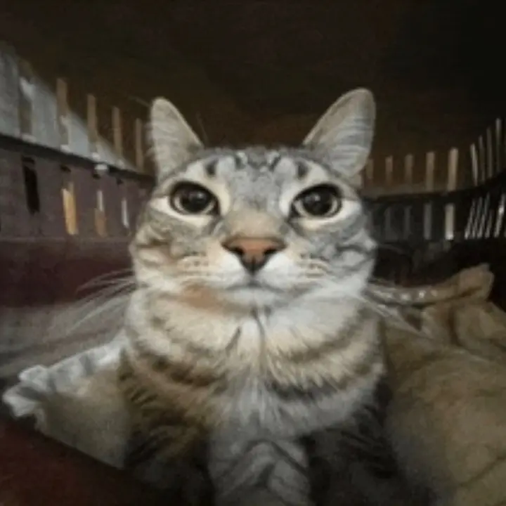 Max - suara asli