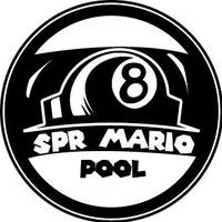 spr_mario_pool