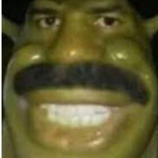 decointheinsaneasylum