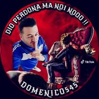 domenico545ucalabris