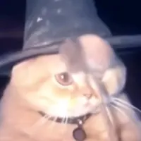hakinenkh
