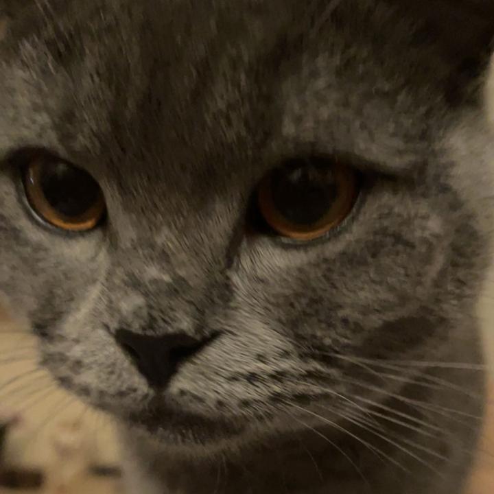 emmy0200