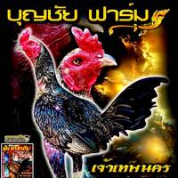 bunchai_farm04