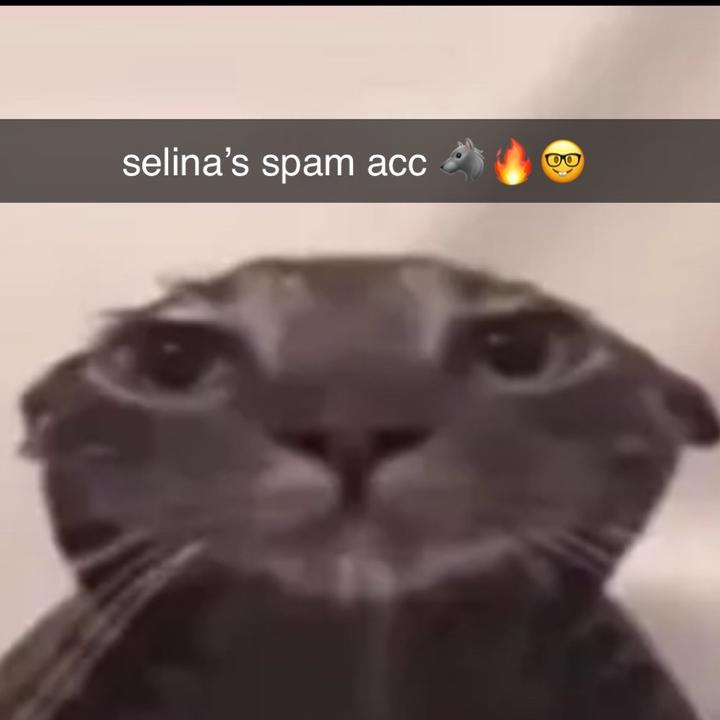 skibidoseliyummyspamlolz