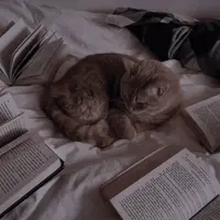 xbookcl0ud