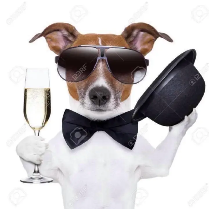 poochiepoosdoggrooming2