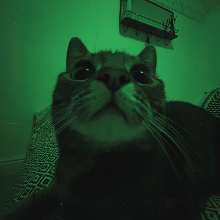 feebss65
