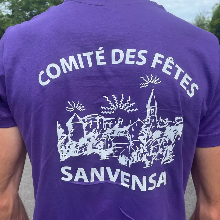 comite.sanvensa