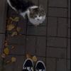 luna.russin2