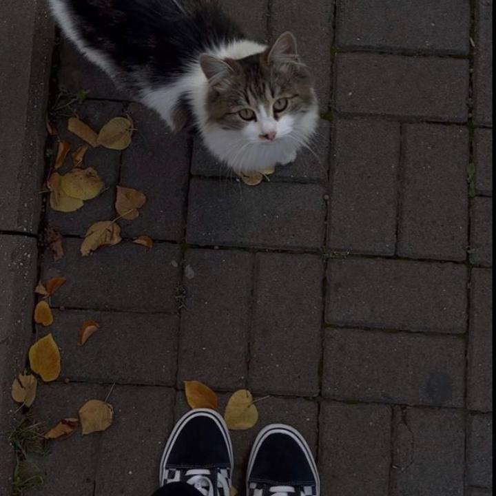 @luna.russin2