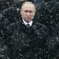 bigdaddyputin00