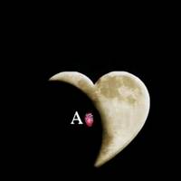 anis_du469p403