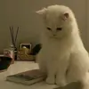 ixniw