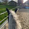 privat.dacapo