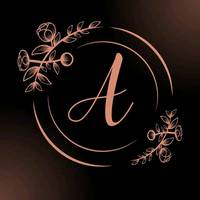 p.m.a44