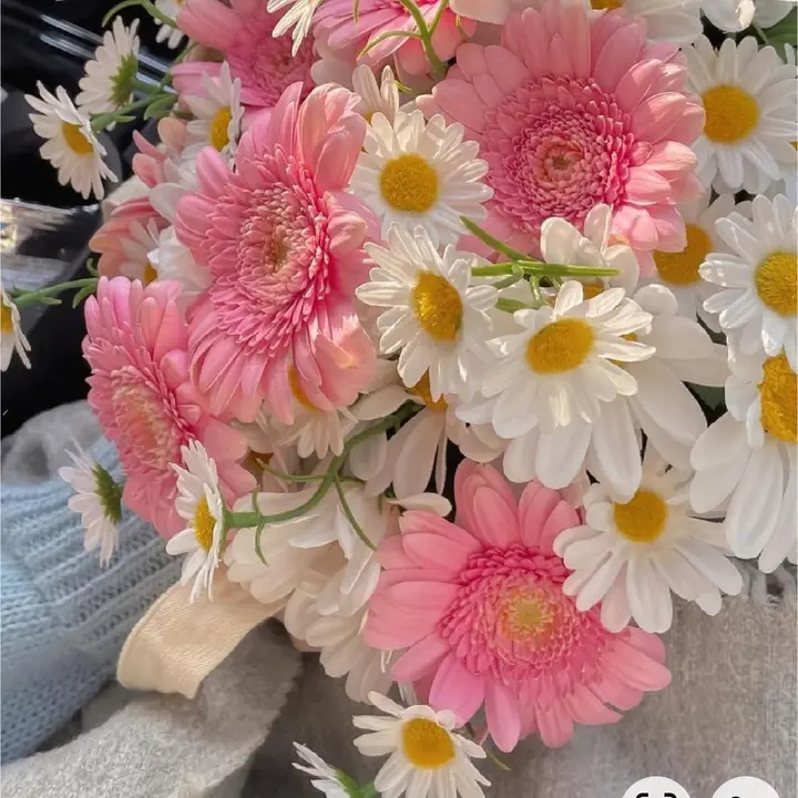 @dokhtafggg