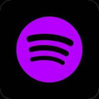 spotify08.0