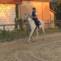 _zivot_podle_koni_