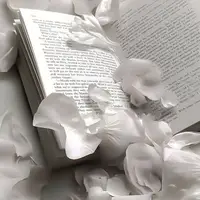 drxamwalkxr
