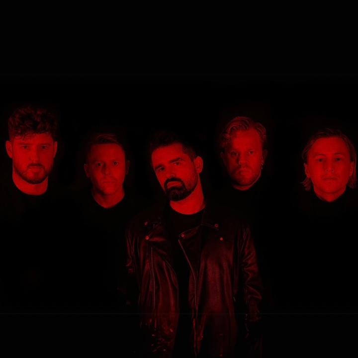 Siamese - Holy