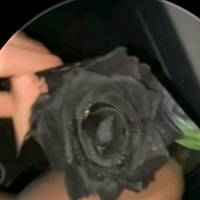 la_rosanera1