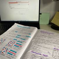 studyfishy