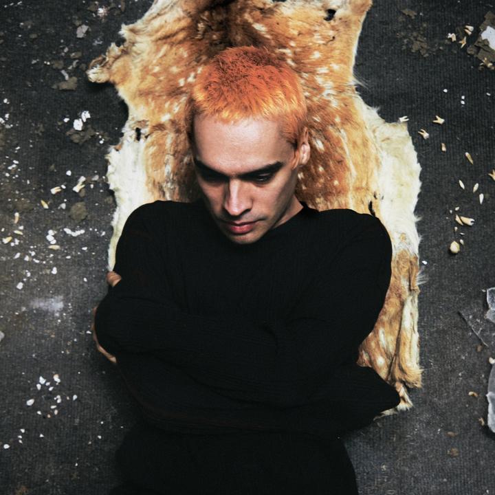 Sega Bodega - True