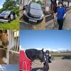 horsepowermp