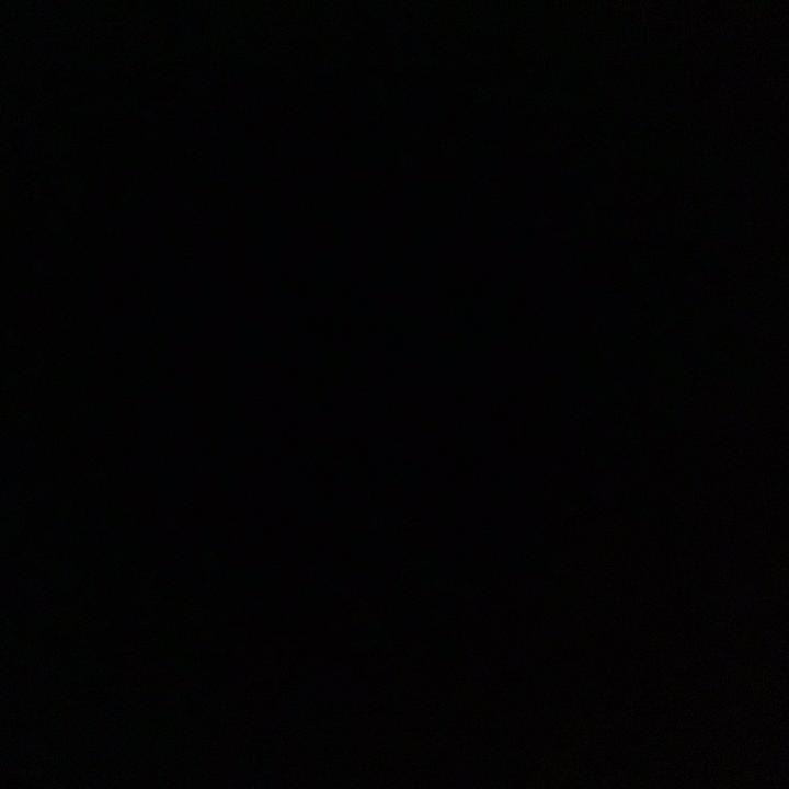 @taliiihalt