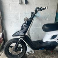 spitrobluetesta