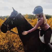 equestrian.yavvie