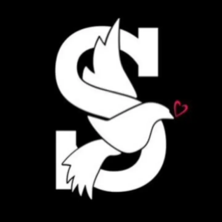 𝗦𝗔𝗗 𝗠𝗨𝗦𝗜𝗖 𝗢𝗙𝗙💔🕊 - Gs