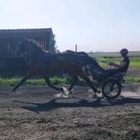 morganeblary59