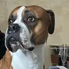 onlyhappyvideos