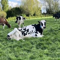 futur_agri22