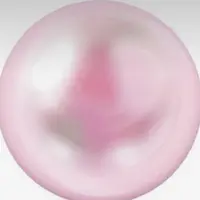 anita20807