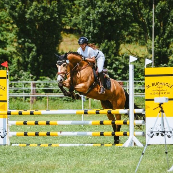 ggs.equestrian