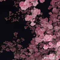 aloalaoal6
