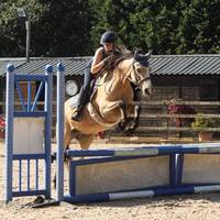 myhorsecosmo