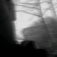 atanasova_222